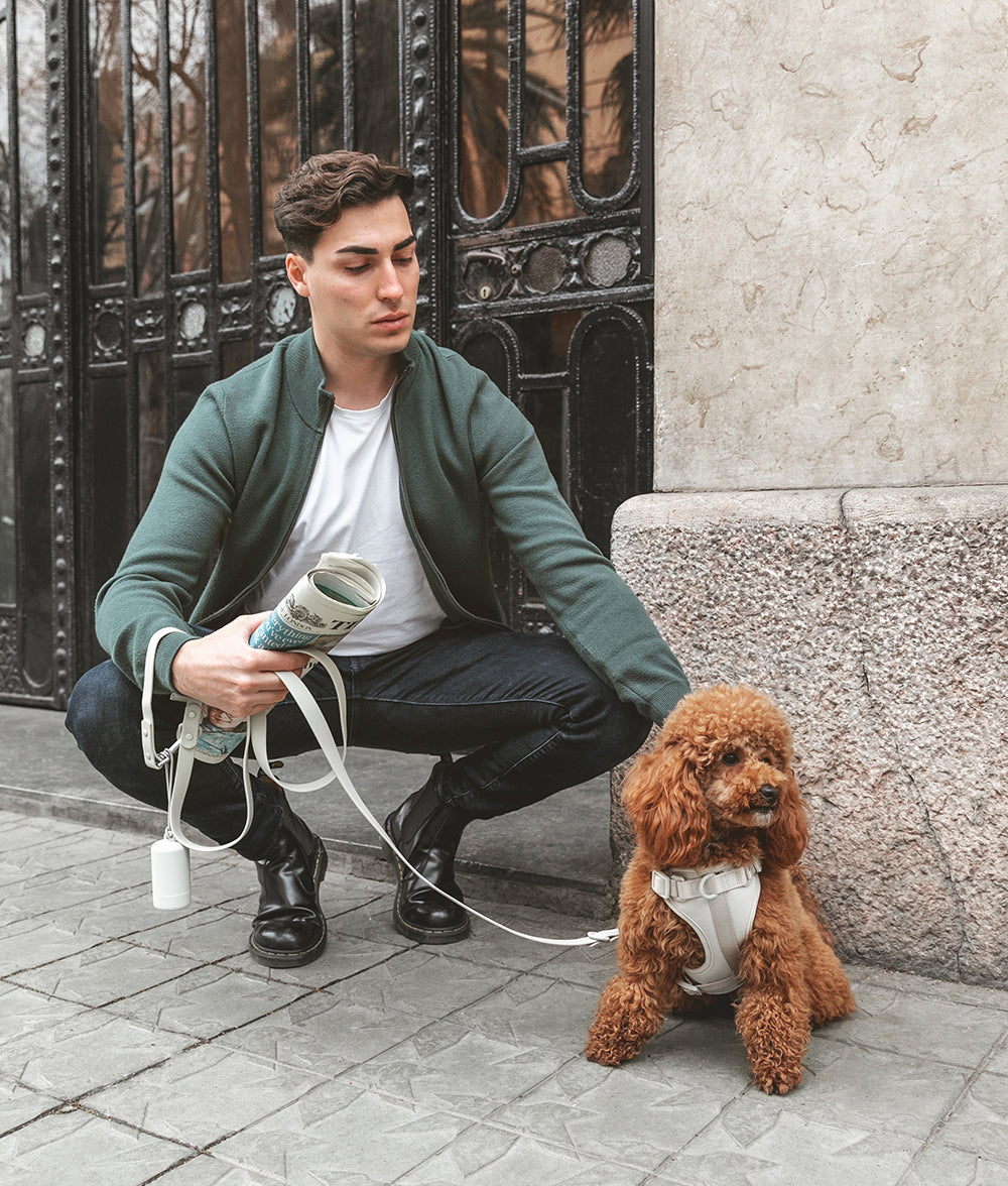 Correa Perro Beige Gala