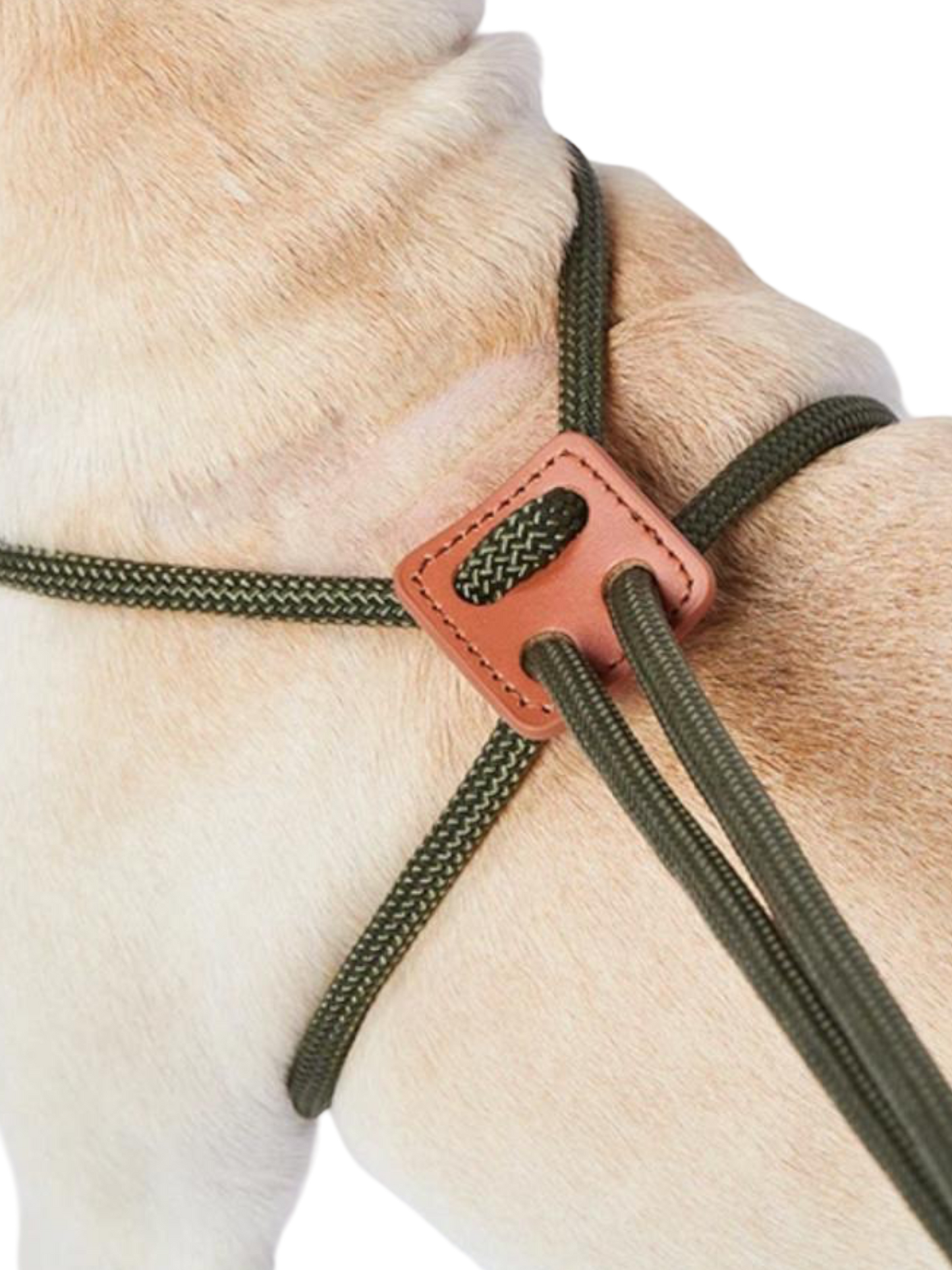 Correa Pechera - Verde