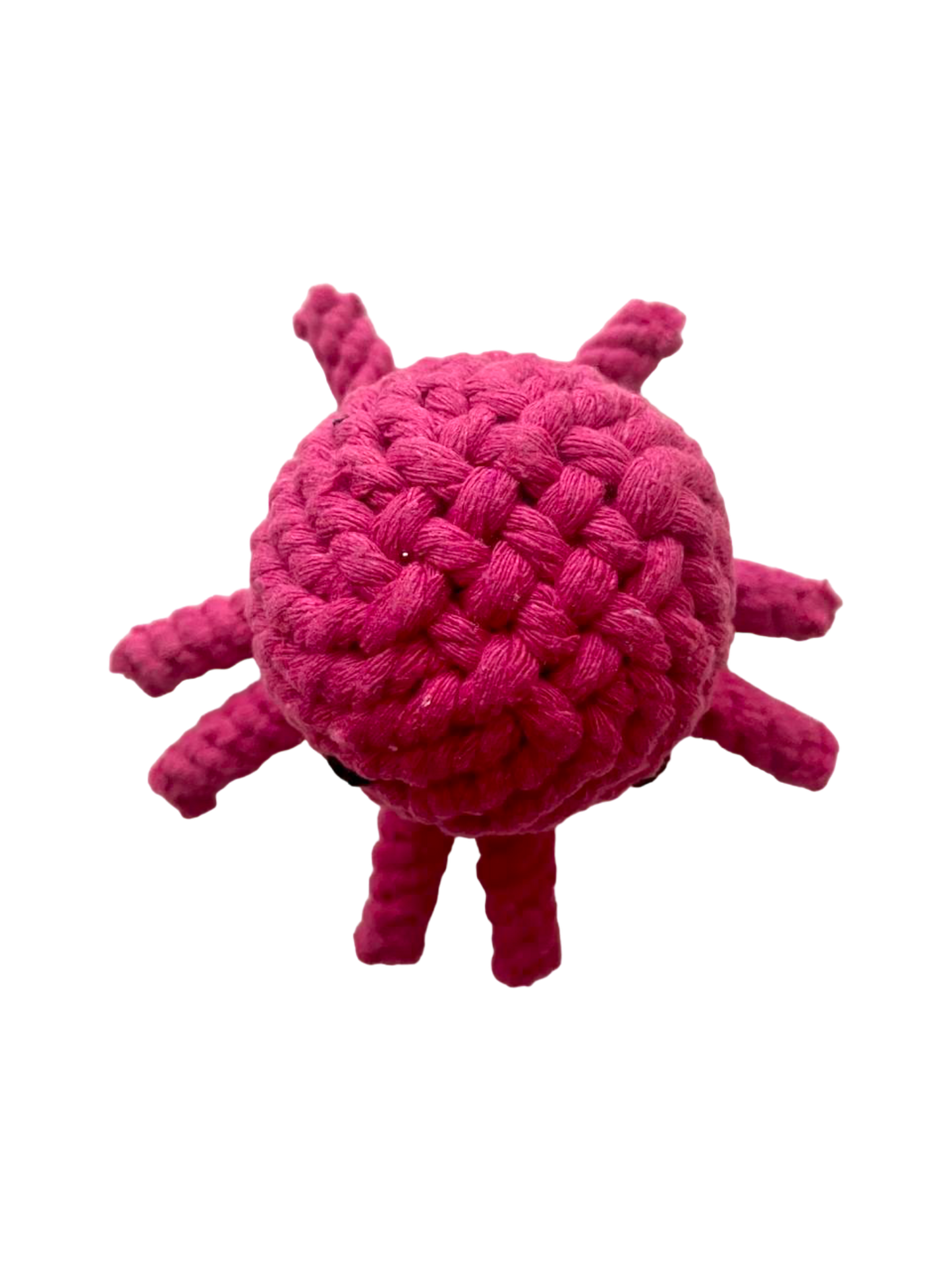 Juguete de cuerda - Pulpo