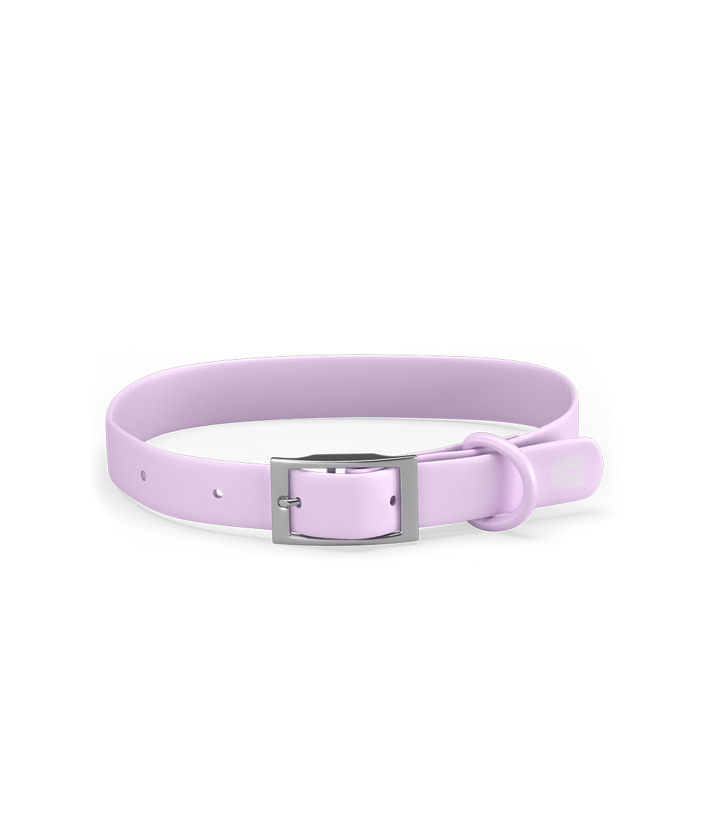 Collar Perro Violeta Gala