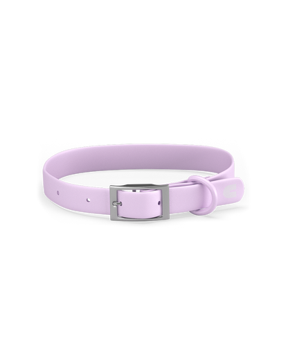 Collar Perro Violeta Gala